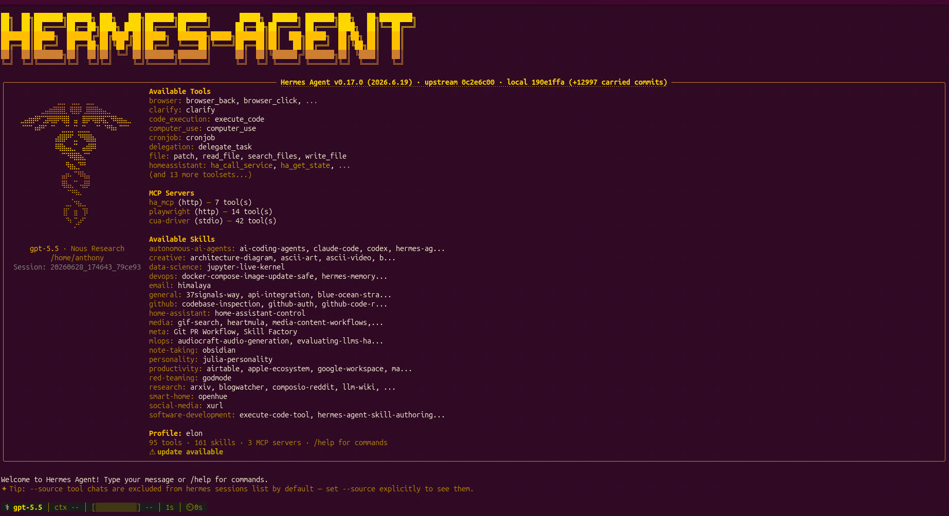 Capture d’écran d’un terminal affichant Hermes Agent lancé, avec logo ASCII jaune, listes d’outils, compétences, serveurs MCP, profil d’agent et invite de commande active.